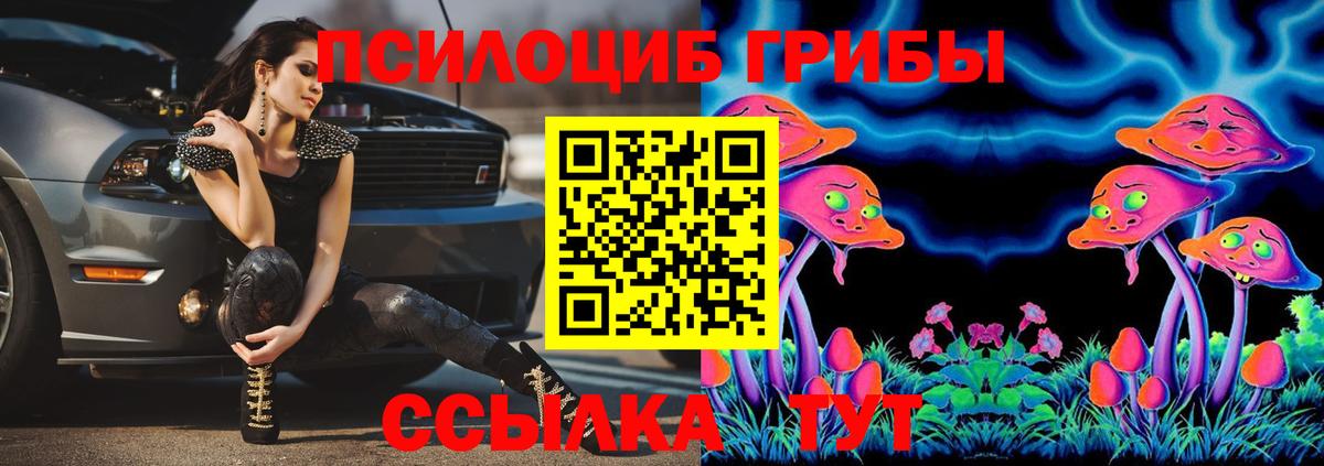 Галлюциногенные грибы Psilocybine cubensis Сосновый Бор