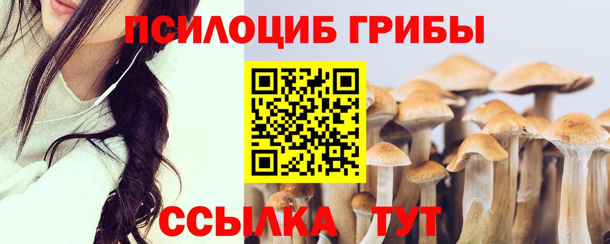 Псилоцибиновые грибы Cubensis  Вход с VPN  Сосновый Бор 